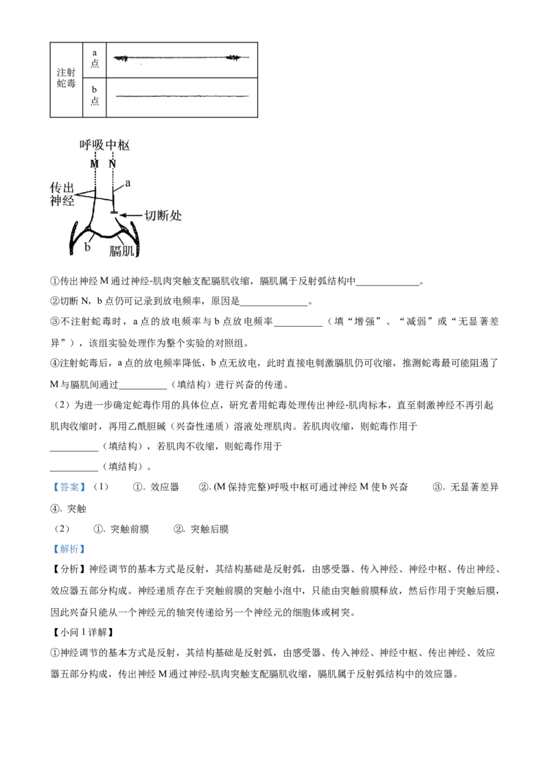 精品解析：黑龙江省大庆实验中学2023-2024学年高三上学期期中生物试题（解析版）(1)_2023年11月_0211月合集_2024届黑龙江省大庆实验中学高三上学期期中考试