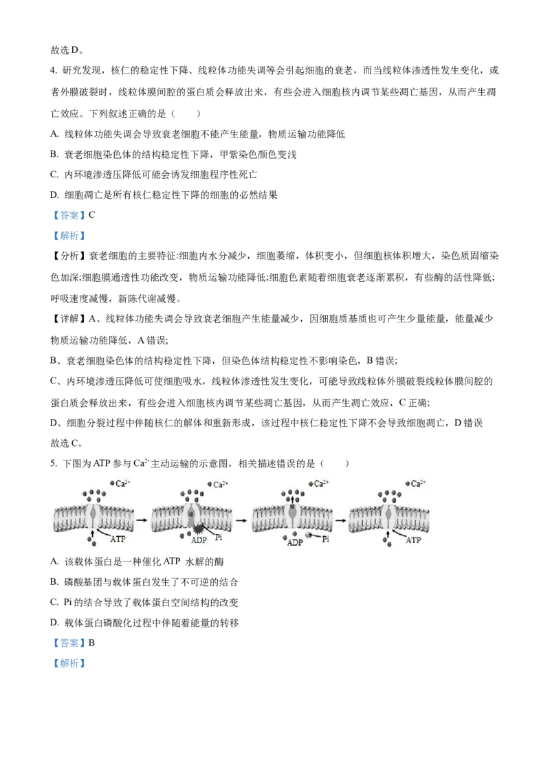 精品解析：黑龙江省大庆实验中学2023-2024学年高三上学期期中生物试题（解析版）(1)_2023年11月_0211月合集_2024届黑龙江省大庆实验中学高三上学期期中考试