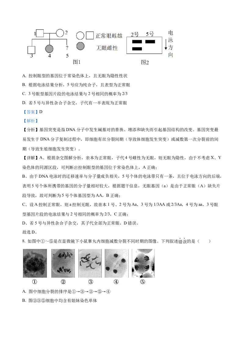 精品解析：黑龙江省大庆实验中学2023-2024学年高三上学期期中生物试题（解析版）(1)_2023年11月_0211月合集_2024届黑龙江省大庆实验中学高三上学期期中考试
