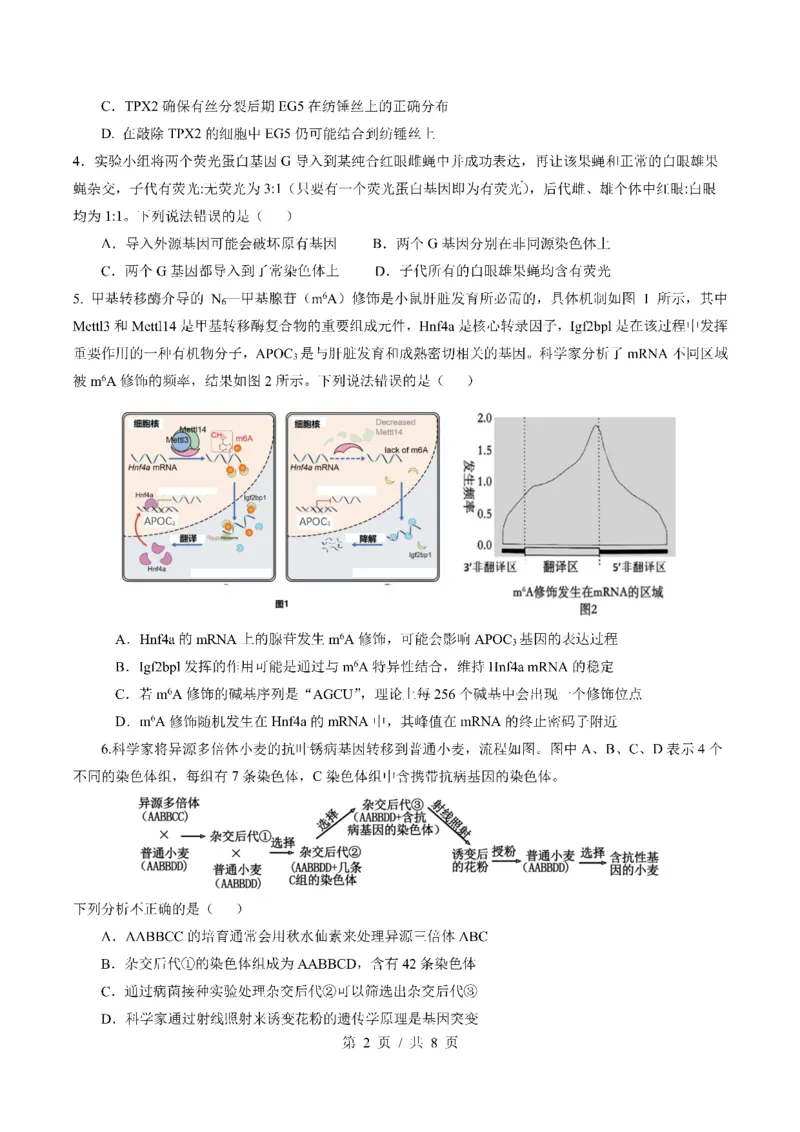 四川省成都市第七中学2024-2025学年高三上学期12月阶段性考试生物_2024-2025高三（6-6月题库）_2024年12月试卷_1222四川省成都市第七中学2024-2025学年高三上学期12月阶段性考试（全科）