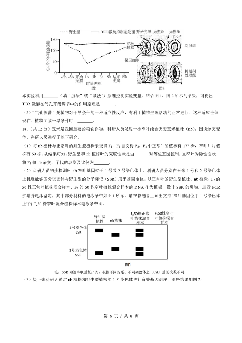 四川省成都市第七中学2024-2025学年高三上学期12月阶段性考试生物_2024-2025高三（6-6月题库）_2024年12月试卷_1222四川省成都市第七中学2024-2025学年高三上学期12月阶段性考试（全科）