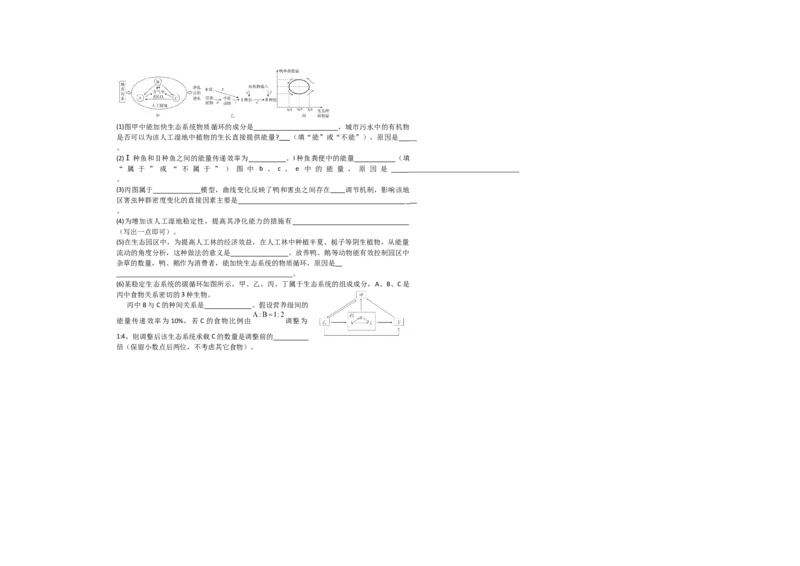 山东省菏泽第一中学（八一路）2025-2026学年高二上学期12月测试生物试题_2024-2025高二（7-7月题库）_2026年1月高二