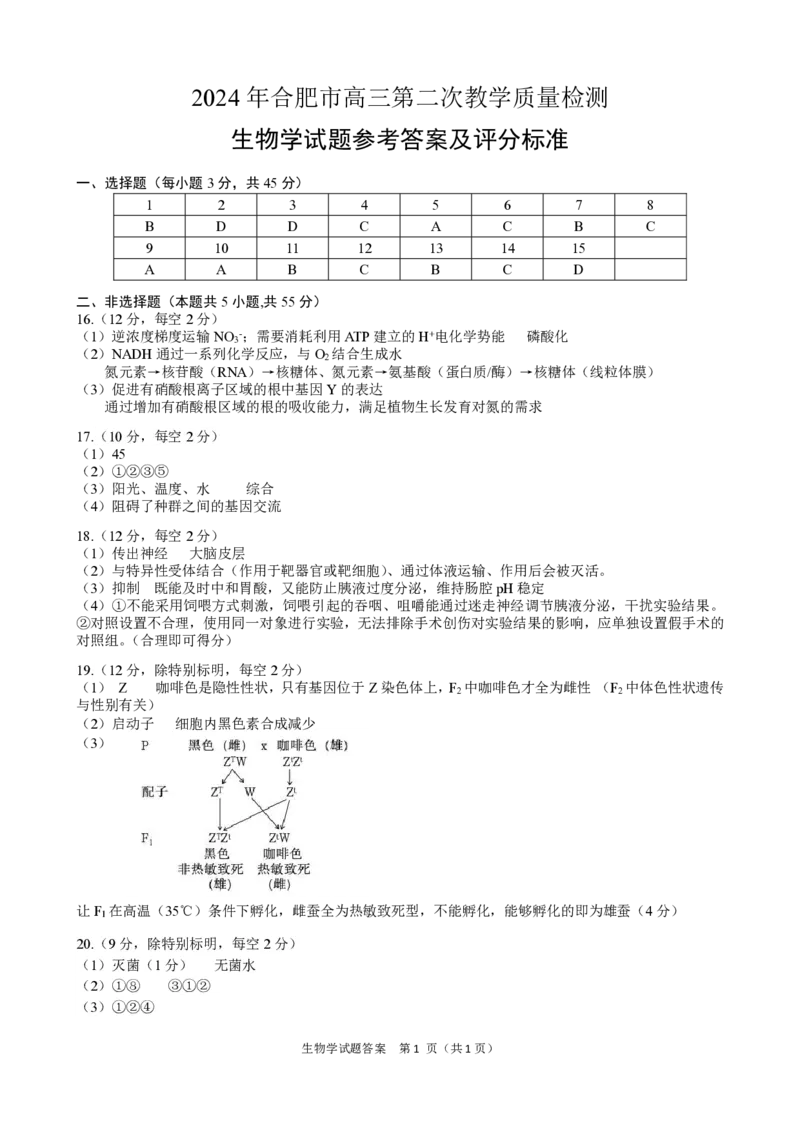 生物学参考答案_2024年4月_01按日期_24号_2024届安徽省合肥市高三第二次教学质量检测_2024届安徽省合肥市高三第二次教学质量检测-生物