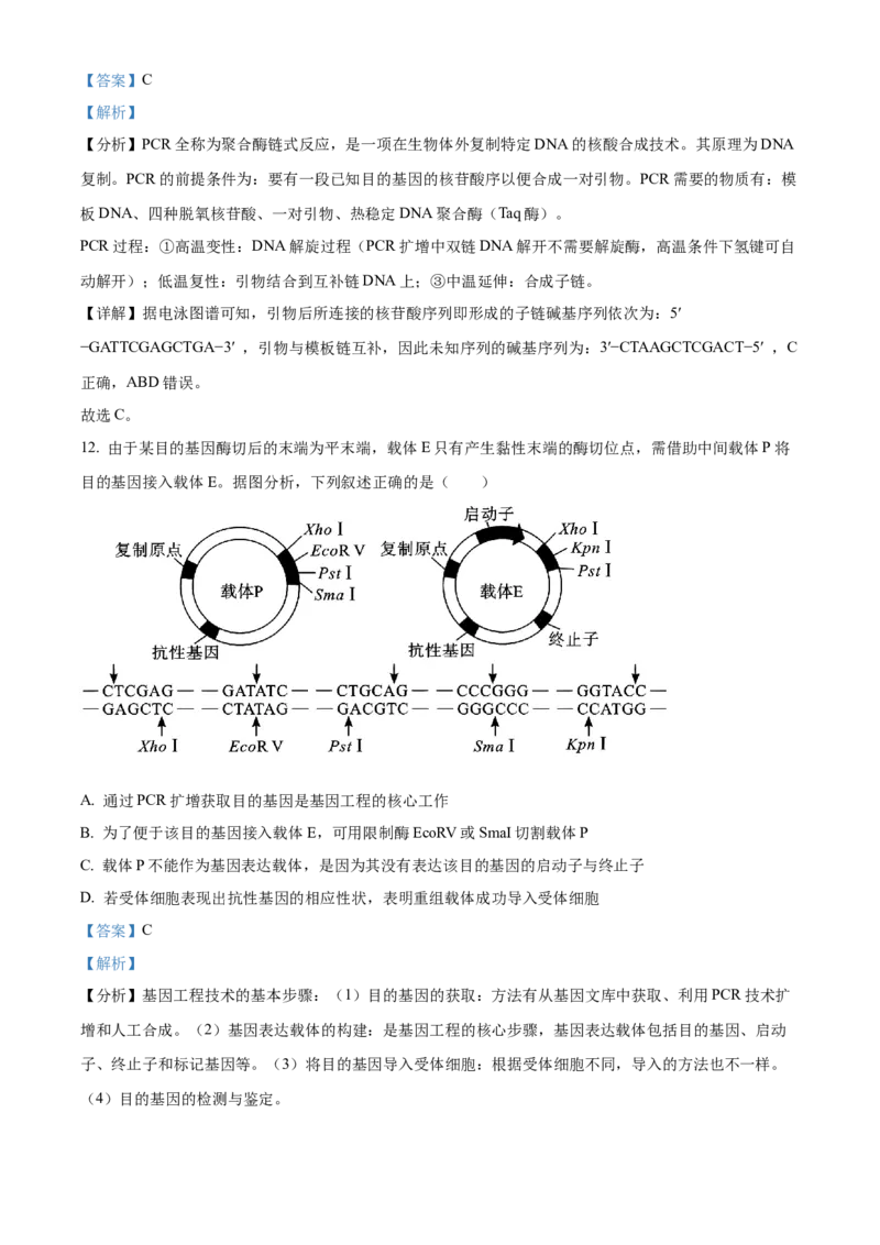 山东省菏泽市第一中学2024-2025学年高二下学期第一次月考生物试题Word版含解析_2024-2025高二（7-7月题库）_2025年04月试卷(1)_0426山东省菏泽市第一中学2024-2025学年高二下学期第一次月考