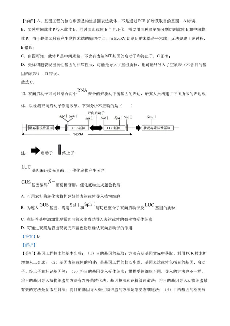 山东省菏泽市第一中学2024-2025学年高二下学期第一次月考生物试题Word版含解析_2024-2025高二（7-7月题库）_2025年04月试卷(1)_0426山东省菏泽市第一中学2024-2025学年高二下学期第一次月考
