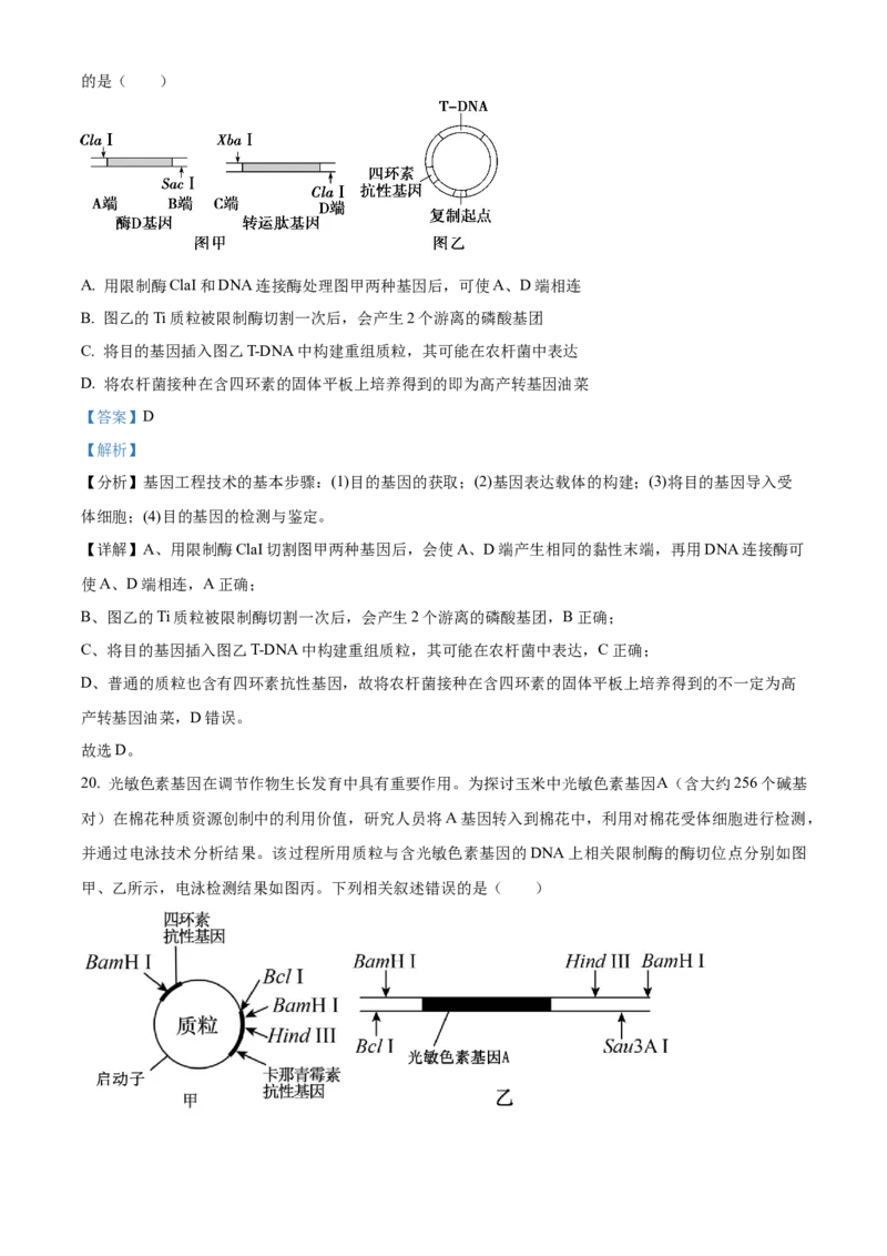 山东省菏泽市第一中学2024-2025学年高二下学期第一次月考生物试题Word版含解析_2024-2025高二（7-7月题库）_2025年04月试卷(1)_0426山东省菏泽市第一中学2024-2025学年高二下学期第一次月考