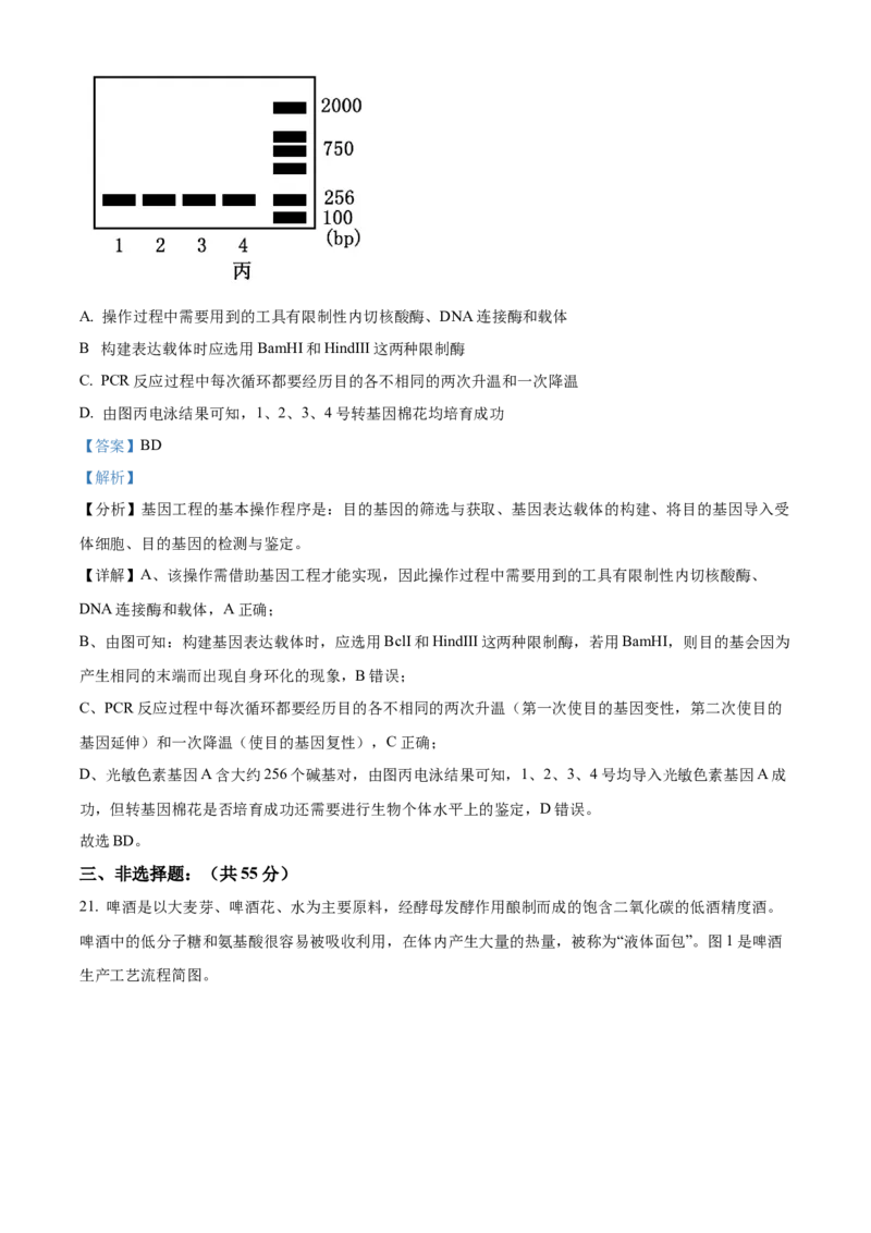 山东省菏泽市第一中学2024-2025学年高二下学期第一次月考生物试题Word版含解析_2024-2025高二（7-7月题库）_2025年04月试卷(1)_0426山东省菏泽市第一中学2024-2025学年高二下学期第一次月考