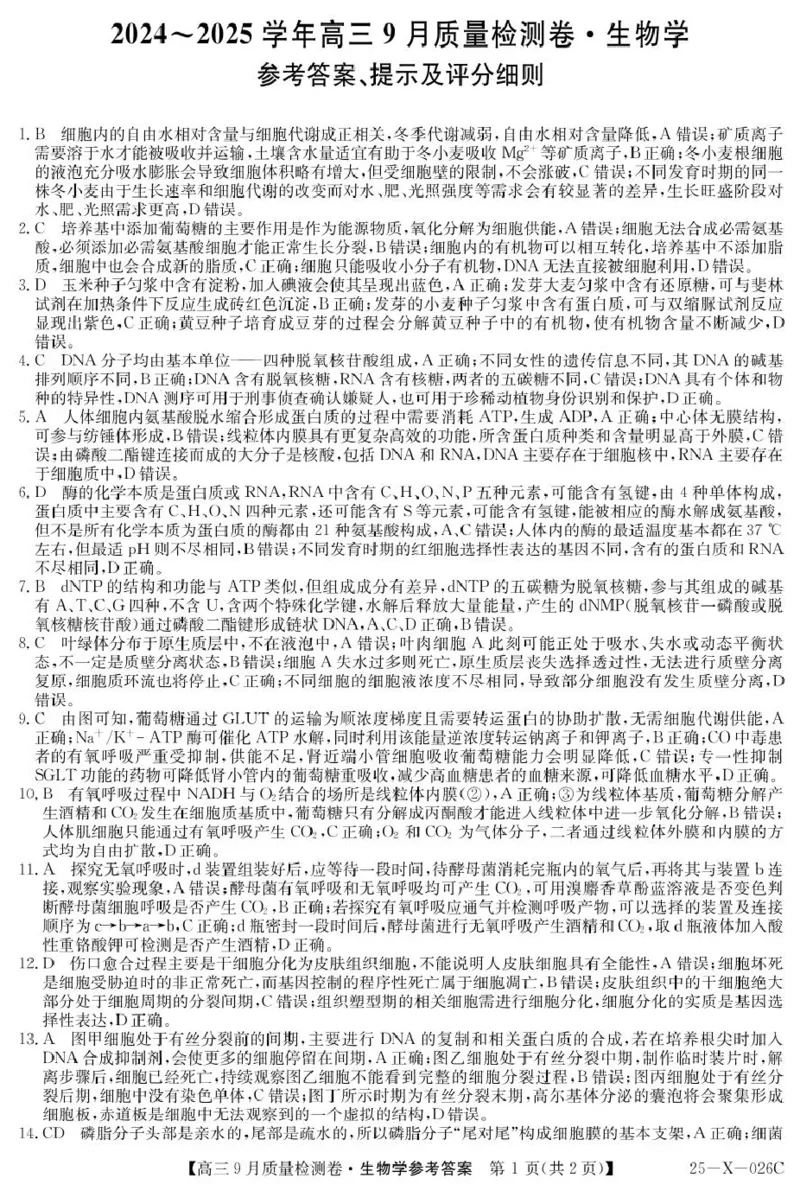 三晋卓越联盟&middot;山西省2024-2025学年度高三9月质量检测卷(25-X-26C)生物试题答案_2024-2025高三（6-6月题库）_2024年09月试卷_0928三晋卓越联盟&middot;山西省2024-2025学年度高三9月质量检测卷(25-X-26C)