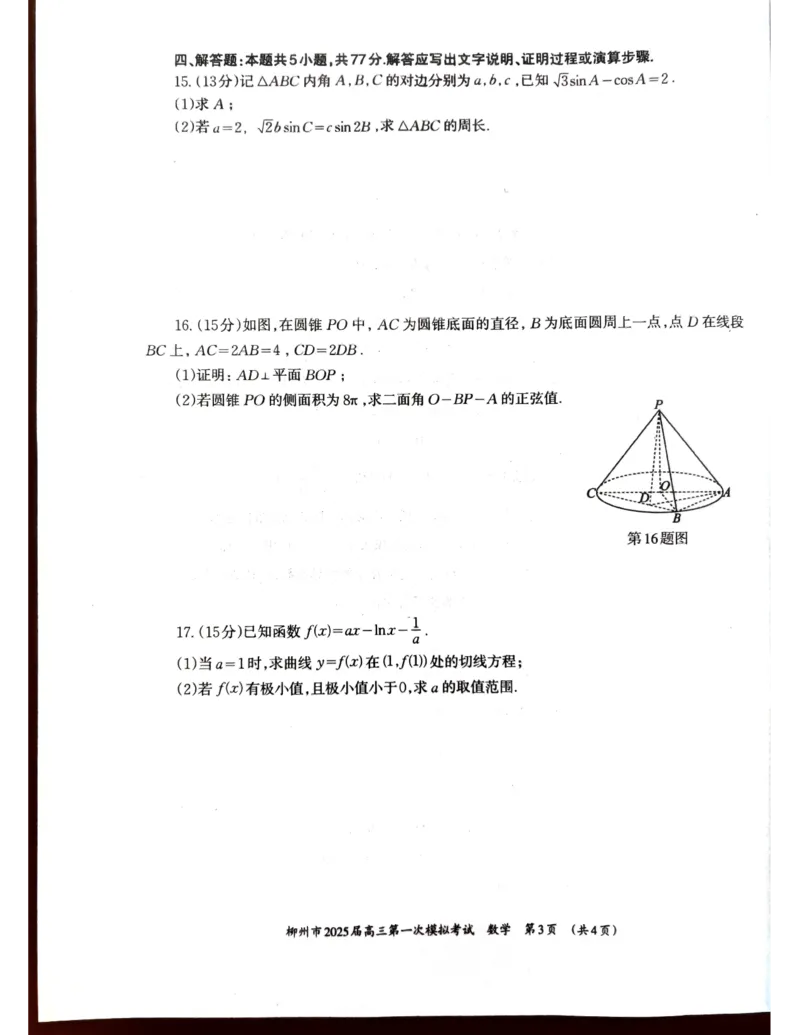一模数学_2024-2025高三（6-6月题库）_2024年11月试卷_1122广西壮族自治区柳州市2025届高三第一次模拟考试_广西壮族自治区柳州市2025届高三第一次模拟考试数学试题