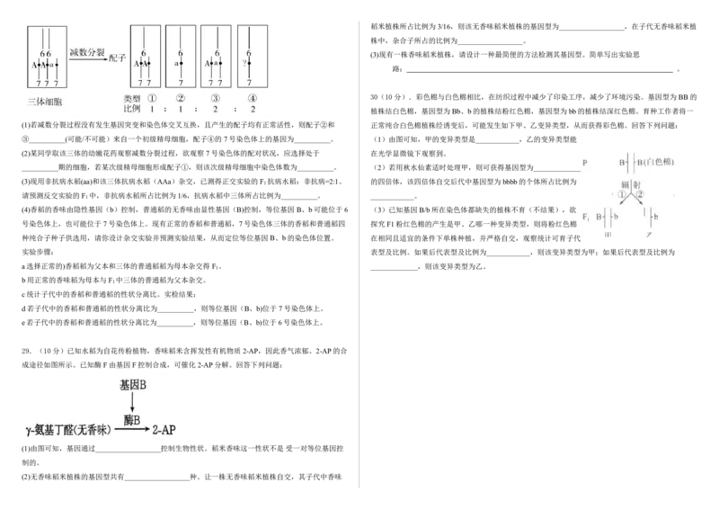 学生卷-2024-2025学年第一学期高二生物月考试卷_2024-2025高二（7-7月题库）_2024年09月试卷_0903新疆石河子市第一中学2024-2025学年高二上学期8月月考（开学考）