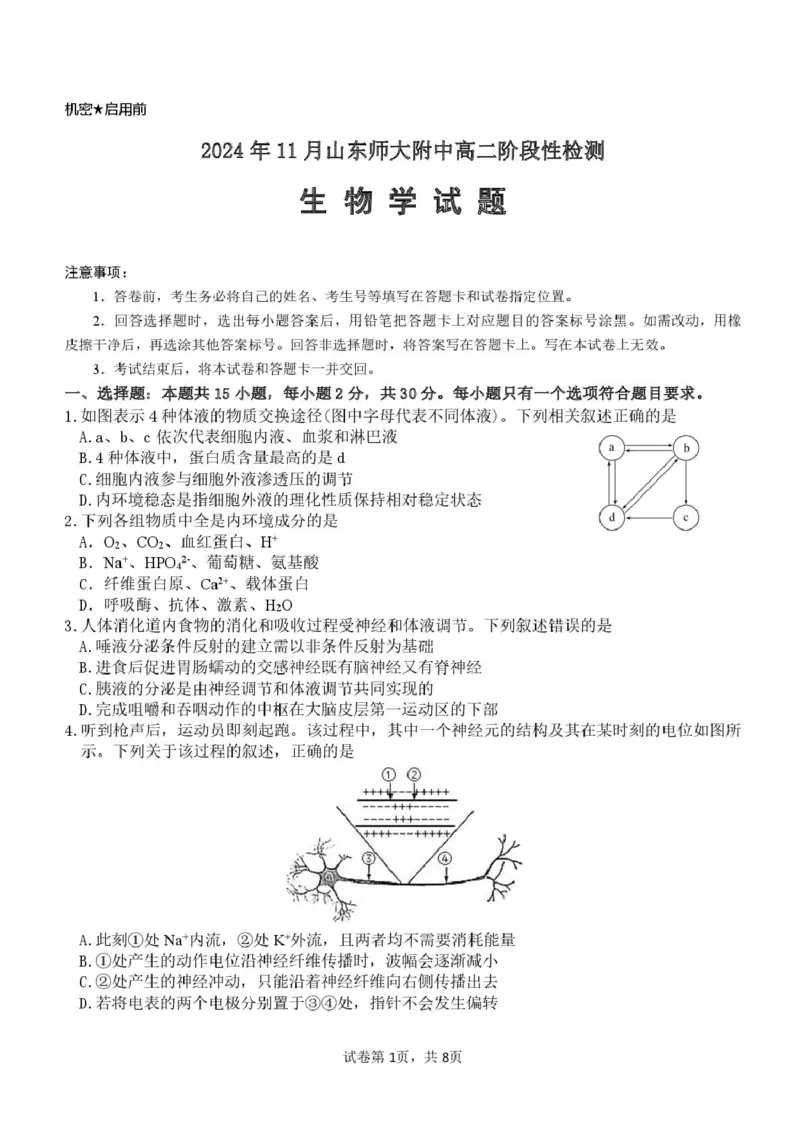 山东师范大学附属中学2024-2025学年高二上学期11月阶段性检测试题生物PDF版含答案_2024-2025高二（7-7月题库）_2025年01月试卷