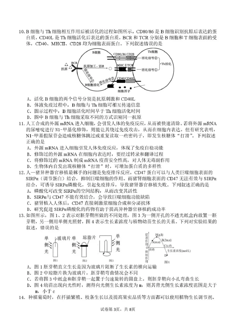 山东师范大学附属中学2024-2025学年高二上学期11月阶段性检测试题生物PDF版含答案_2024-2025高二（7-7月题库）_2025年01月试卷