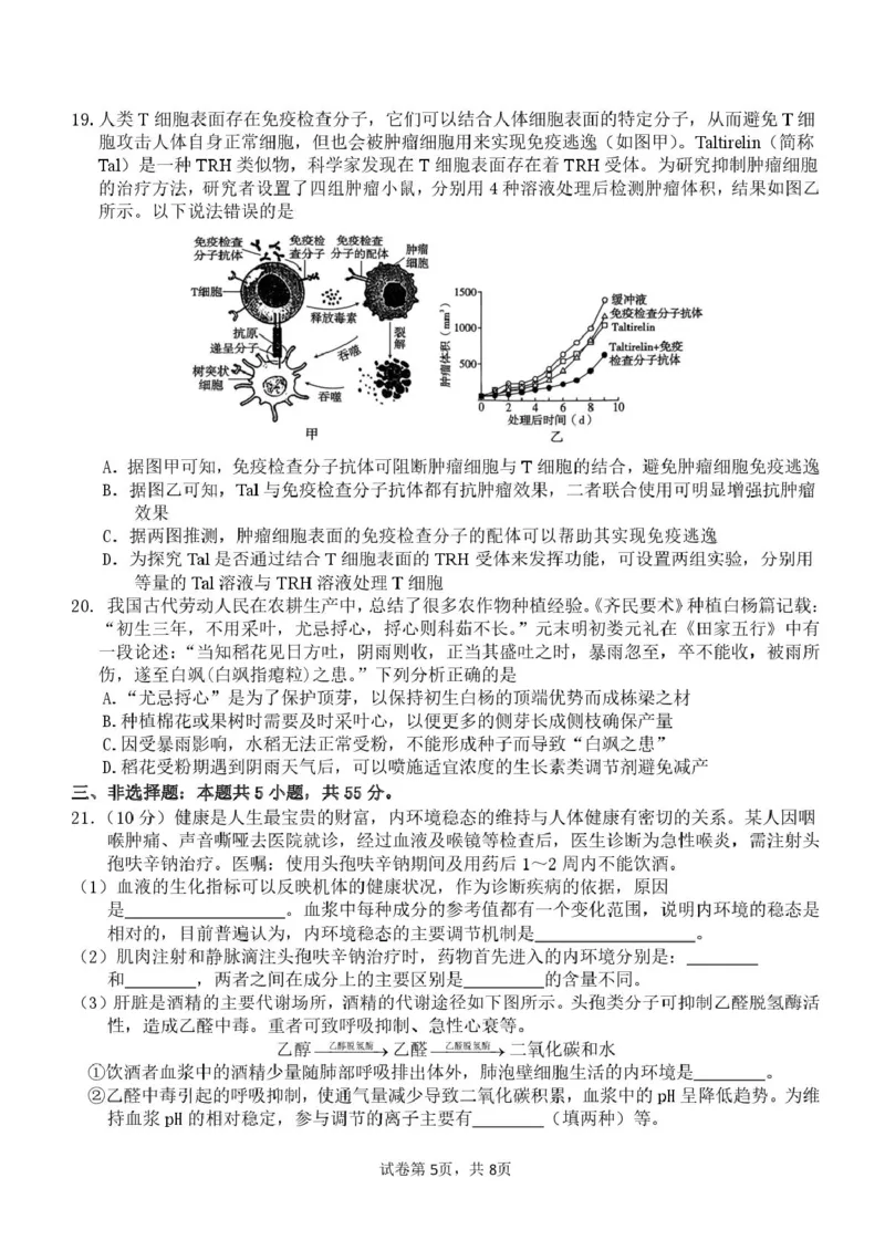 山东师范大学附属中学2024-2025学年高二上学期11月阶段性检测试题生物PDF版含答案_2024-2025高二（7-7月题库）_2025年01月试卷