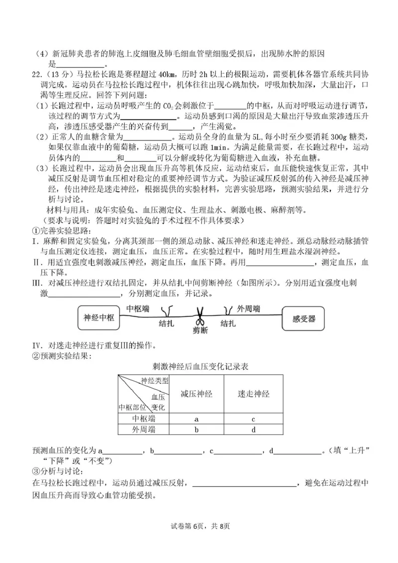 山东师范大学附属中学2024-2025学年高二上学期11月阶段性检测试题生物PDF版含答案_2024-2025高二（7-7月题库）_2025年01月试卷