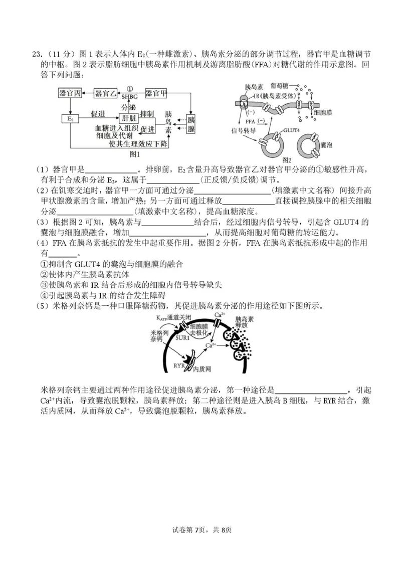 山东师范大学附属中学2024-2025学年高二上学期11月阶段性检测试题生物PDF版含答案_2024-2025高二（7-7月题库）_2025年01月试卷
