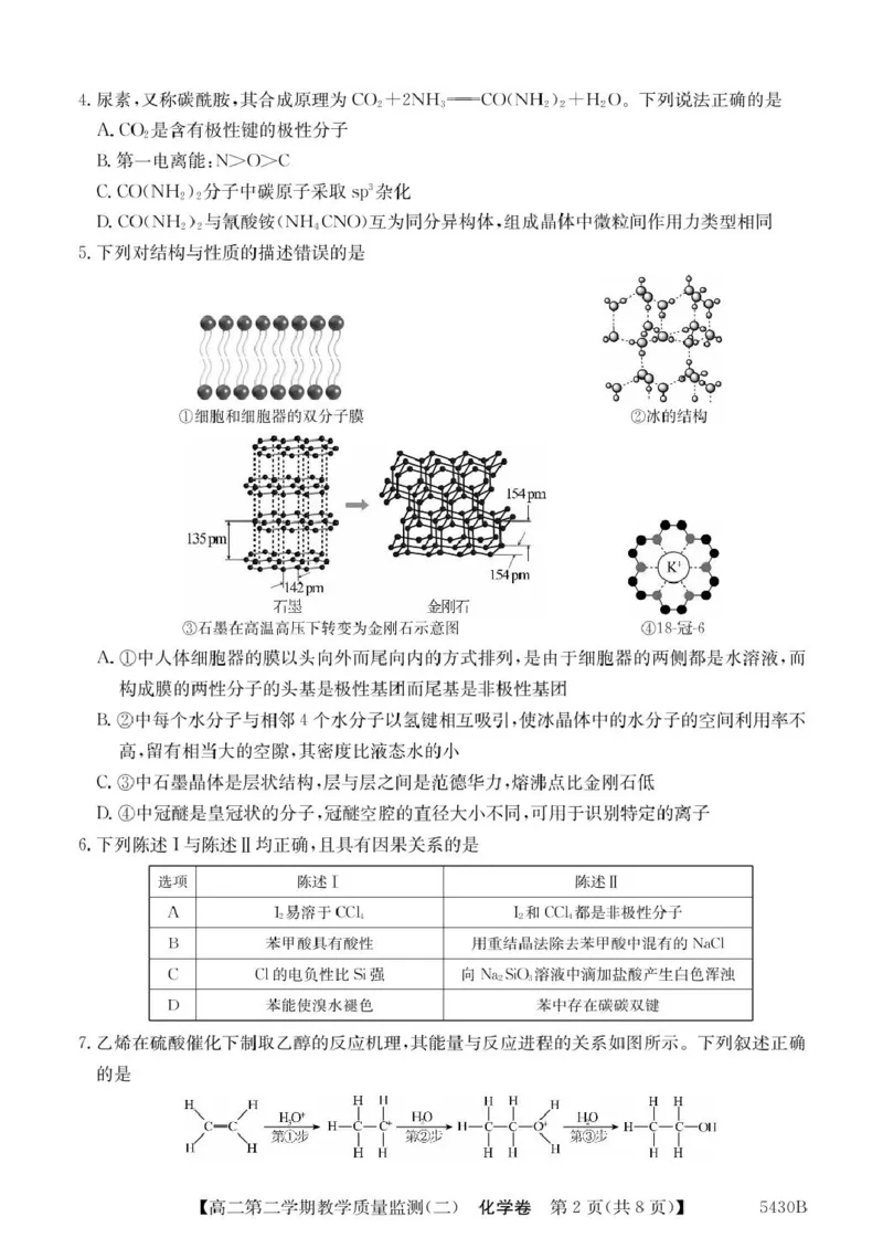 广东省八校联盟2024-2025学年高二下学期教学质量监测（二）化学试卷（图片版，含答案）_2024-2025高二（7-7月题库）_2025年6月试卷