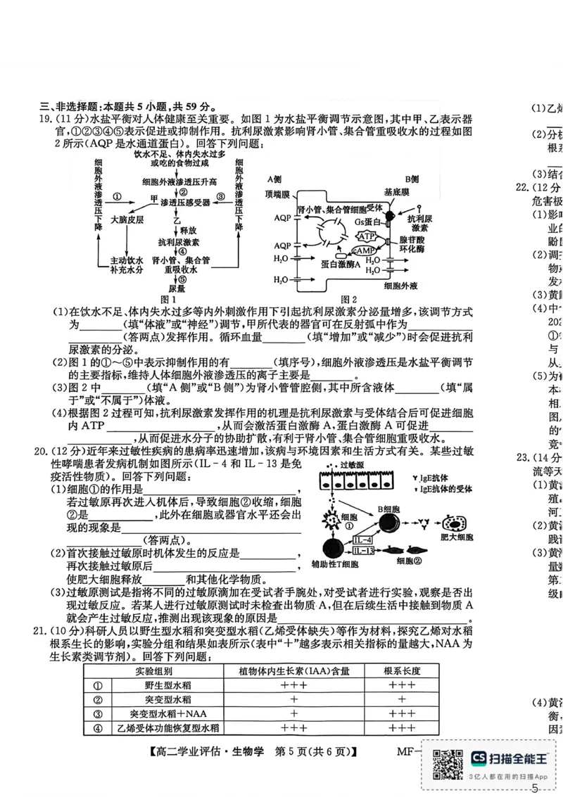 河北省沧州市多校联考2025-2026学年高二上学期1月期末生物试题_2024-2025高二（7-7月题库）_2026年1月高二_260122河北省2025-2026学年高二第一学期学业评估（MF-CL-24A4）（全）
