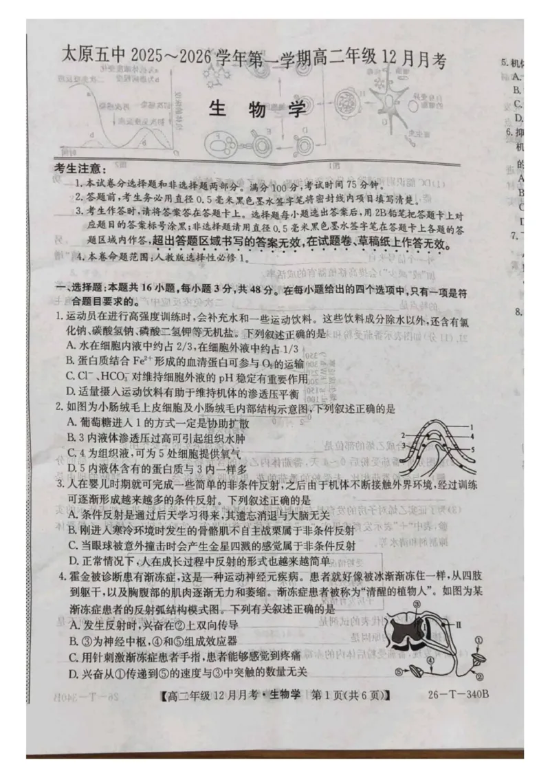山西省太原市第五中学校2025-2026学年高二上学期12月月考生物试题_2024-2025高二（7-7月题库）_2026年1月高二_260101山西省太原市第五中学校2025-2026学年高二上学期12月月考