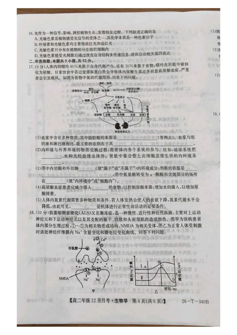 山西省太原市第五中学校2025-2026学年高二上学期12月月考生物试题_2024-2025高二（7-7月题库）_2026年1月高二_260101山西省太原市第五中学校2025-2026学年高二上学期12月月考