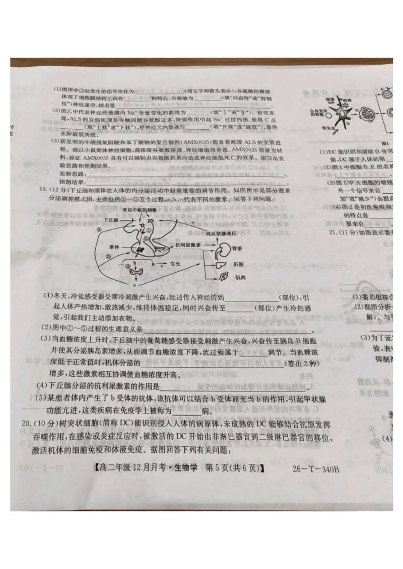 山西省太原市第五中学校2025-2026学年高二上学期12月月考生物试题_2024-2025高二（7-7月题库）_2026年1月高二_260101山西省太原市第五中学校2025-2026学年高二上学期12月月考