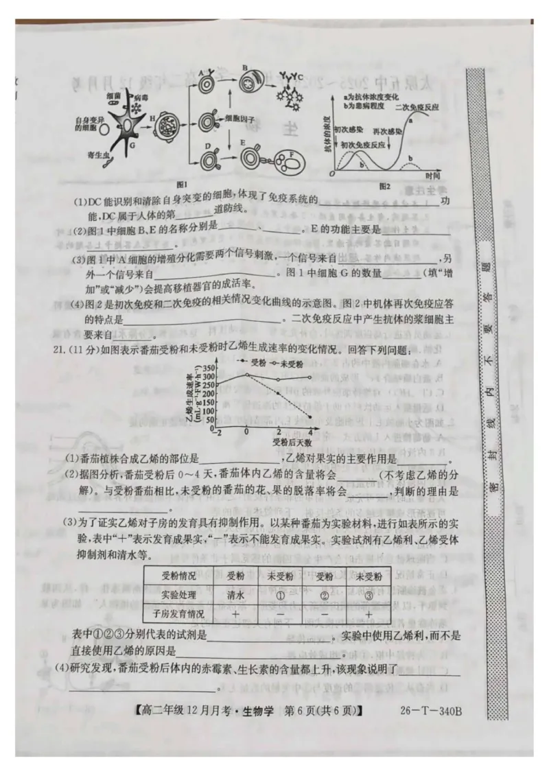 山西省太原市第五中学校2025-2026学年高二上学期12月月考生物试题_2024-2025高二（7-7月题库）_2026年1月高二_260101山西省太原市第五中学校2025-2026学年高二上学期12月月考