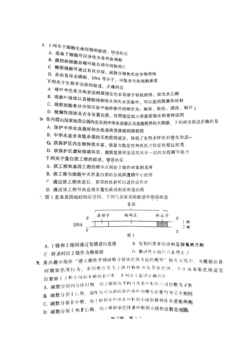 韶关市2024届高三综合测试（一）生物(1)_2023年11月_01每日更新_22号_2024届广东省韶关市高三综合测试（一）
