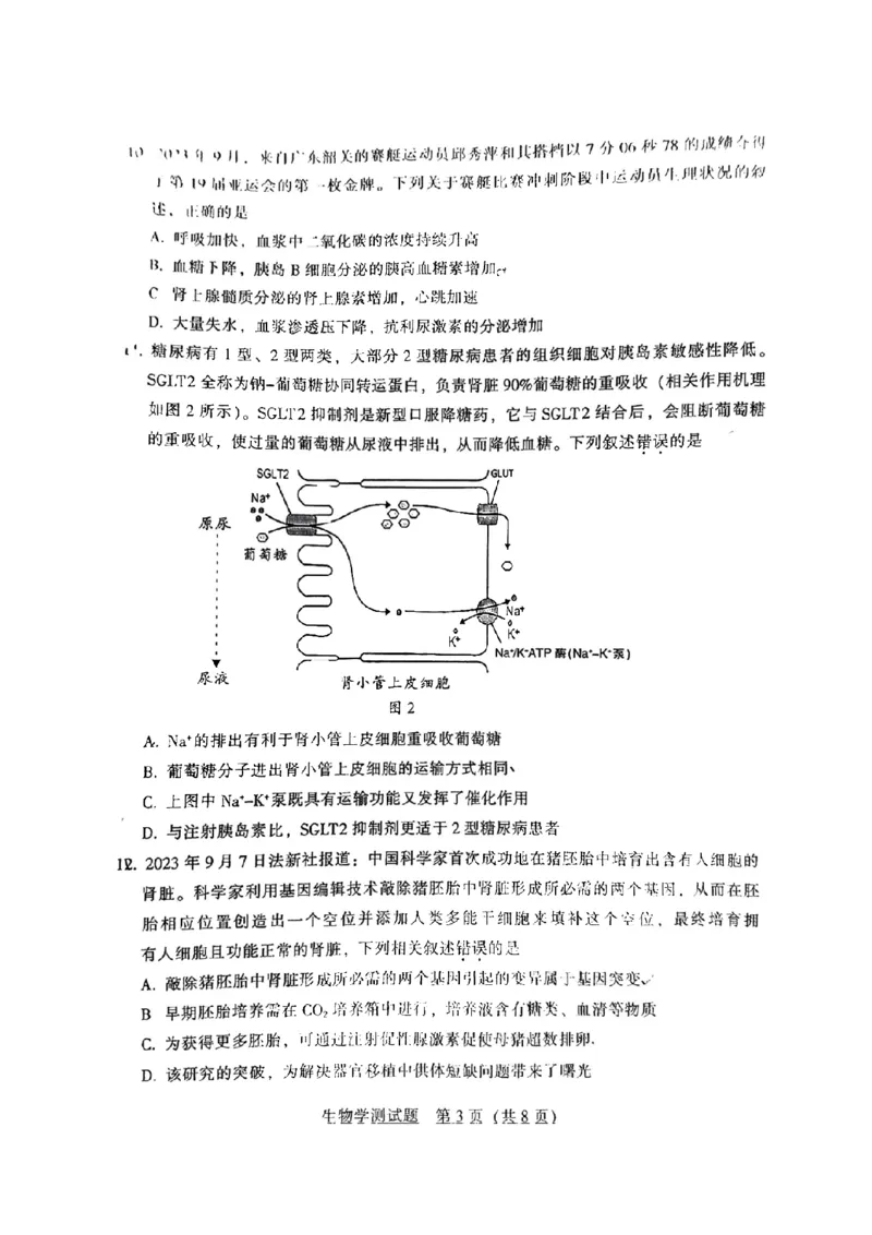 韶关市2024届高三综合测试（一）生物(1)_2023年11月_01每日更新_22号_2024届广东省韶关市高三综合测试（一）