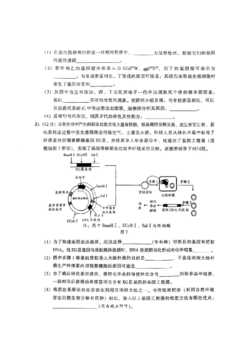 韶关市2024届高三综合测试（一）生物(1)_2023年11月_01每日更新_22号_2024届广东省韶关市高三综合测试（一）