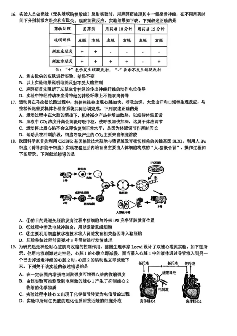 浙江省91联盟2024-2025学年高二下学期4月期中考试生物PDF版含答案_2024-2025高二（7-7月题库）_2025年05月试卷_0522浙江省9+1联盟2024-2025学年高二下学期4月期中考试