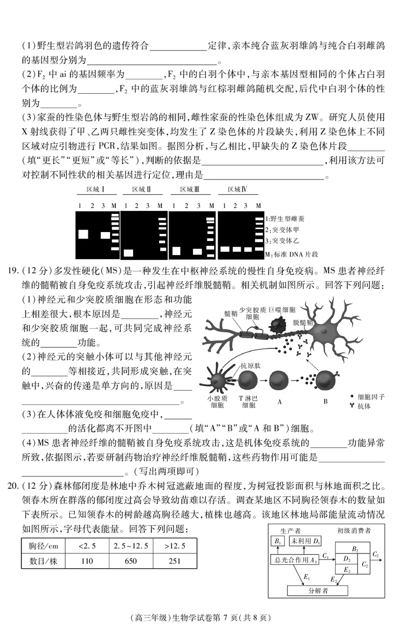 江西省重点中学盟校2024-2025年高三第二次联考生物_2024-2025高三（6-6月题库）_2025年05月试卷_0507江西省重点中学盟校2024-2025年高三第二次联考（全科）