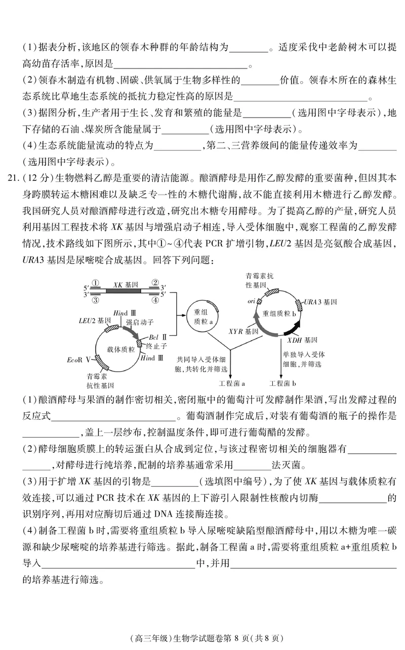 江西省重点中学盟校2024-2025年高三第二次联考生物_2024-2025高三（6-6月题库）_2025年05月试卷_0507江西省重点中学盟校2024-2025年高三第二次联考（全科）