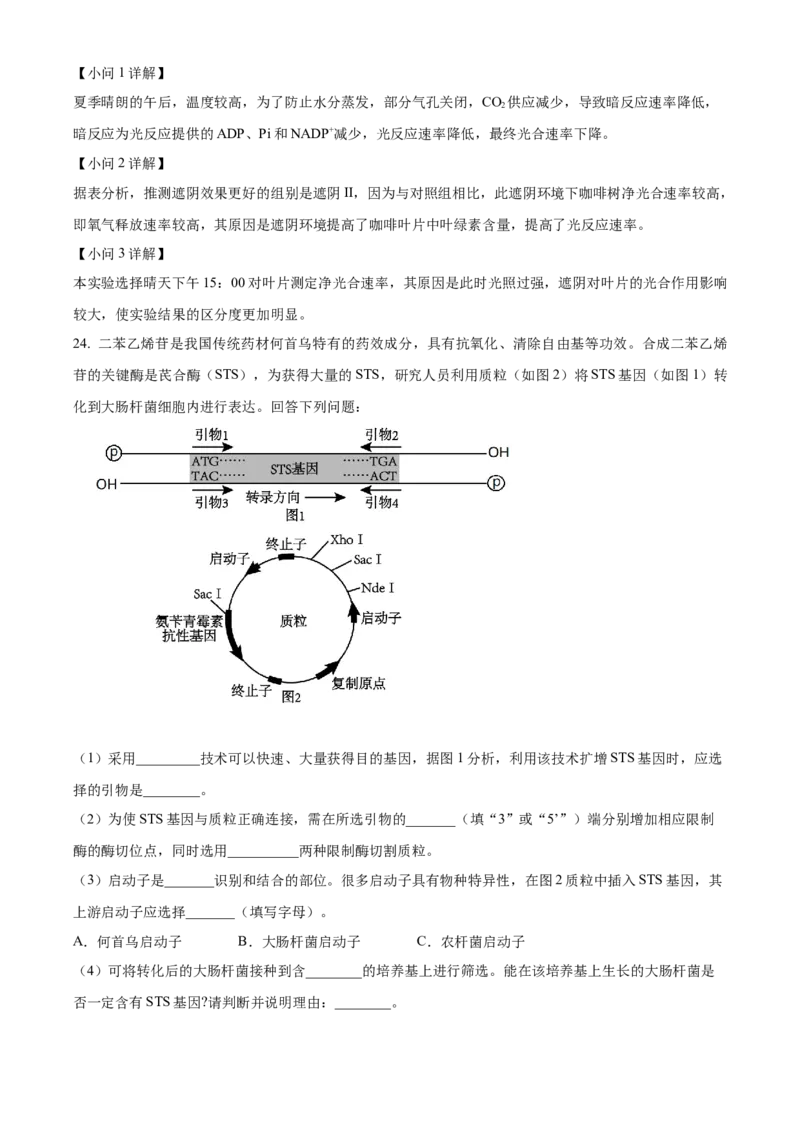 天津市红桥区2023-2024学年高二下学期7月期末考试生物Word版含解析_2024-2025高三（6-6月题库）_2024年07月试卷_240719天津市红桥区2023-2024学年高二下学期7月期末考试