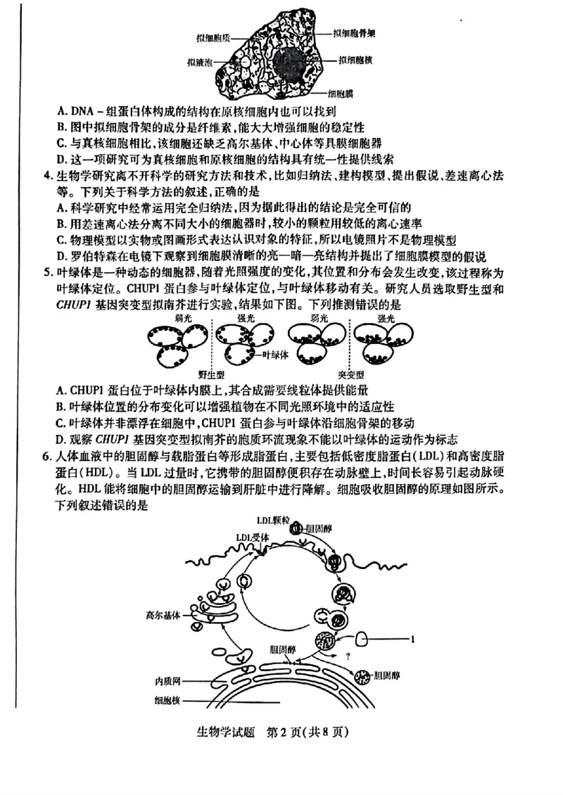 河南省南阳六校2024-2025学年高二下学期期中考试生物PDF版含解析_2024-2025高二（7-7月题库）_2025年04月试卷(1)_0424河南省南阳市六校2024-2025学年高二下学期期中考试