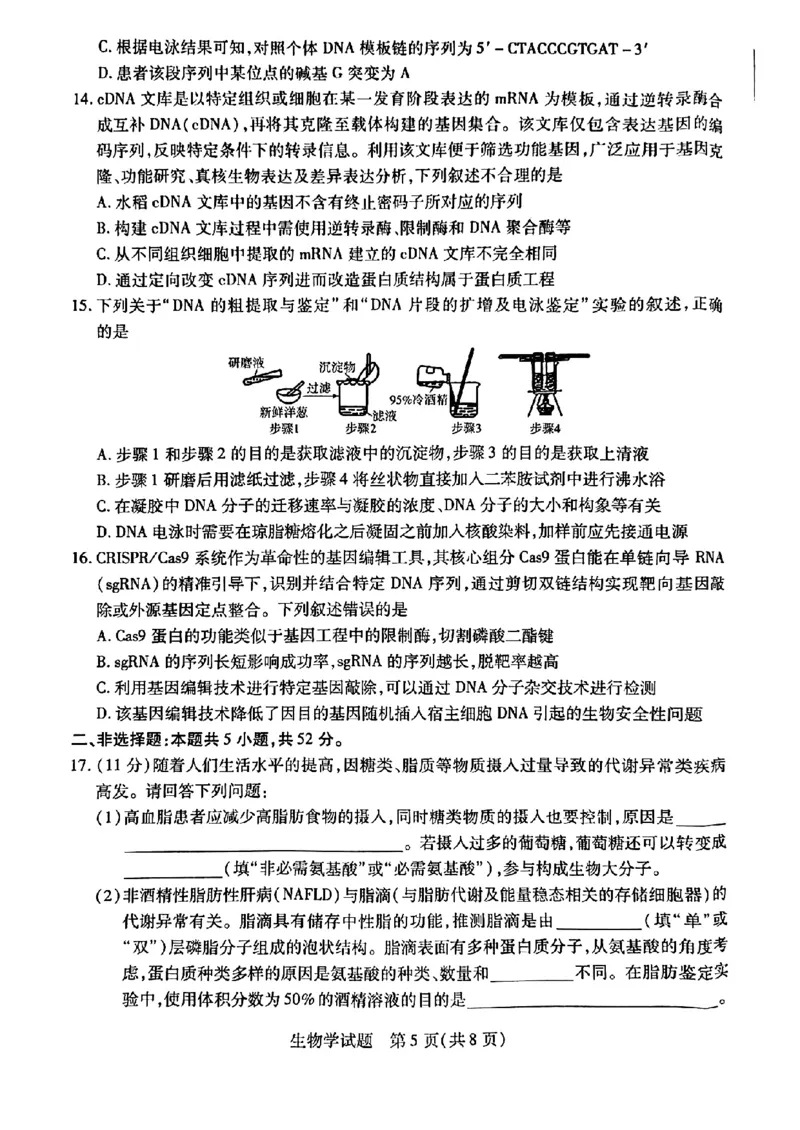 河南省南阳六校2024-2025学年高二下学期期中考试生物PDF版含解析_2024-2025高二（7-7月题库）_2025年04月试卷(1)_0424河南省南阳市六校2024-2025学年高二下学期期中考试
