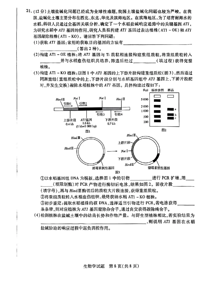 河南省南阳六校2024-2025学年高二下学期期中考试生物PDF版含解析_2024-2025高二（7-7月题库）_2025年04月试卷(1)_0424河南省南阳市六校2024-2025学年高二下学期期中考试