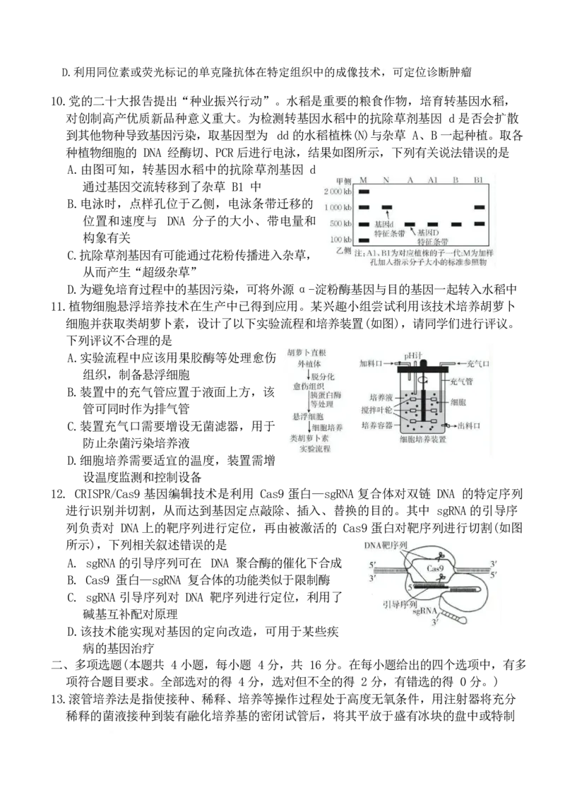 江西省&ldquo;三新&rdquo;协同教研共同体2024-2025学年高二下学期5月联考试题生物Word版含答案_2024-2025高二（7-7月题库）_2025年6月试卷
