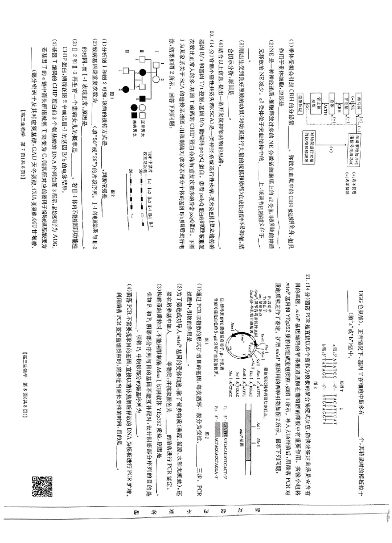 广西2025届金太阳高三9月联考（24-25C）生物+答案_2024-2025高三（6-6月题库）_2024年09月试卷_0912广西2025届金太阳高三9月联考（24-25C）
