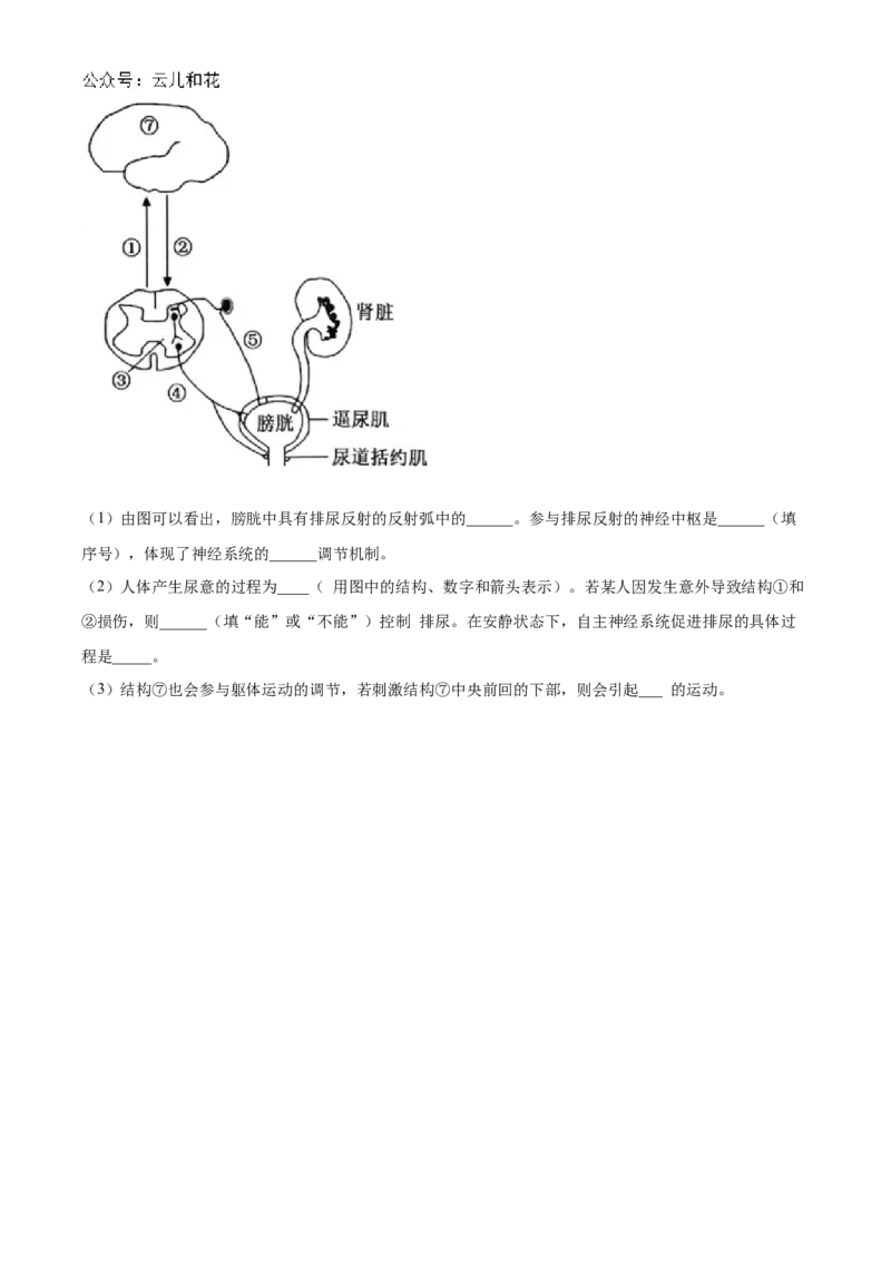 山西省大同市2024-2025学年高二上学期10月联考试题生物Word版含答案_2024-2025高二（7-7月题库）_2024年10月试卷_1026山西省大同市2024-2025学年高二上学期10月联考