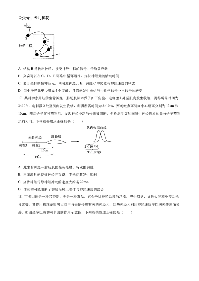 山西省大同市2024-2025学年高二上学期10月联考试题生物Word版含答案_2024-2025高二（7-7月题库）_2024年10月试卷_1026山西省大同市2024-2025学年高二上学期10月联考