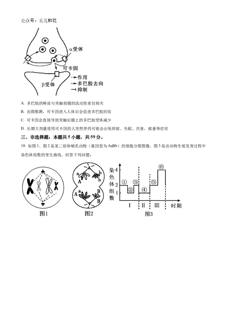 山西省大同市2024-2025学年高二上学期10月联考试题生物Word版含答案_2024-2025高二（7-7月题库）_2024年10月试卷_1026山西省大同市2024-2025学年高二上学期10月联考