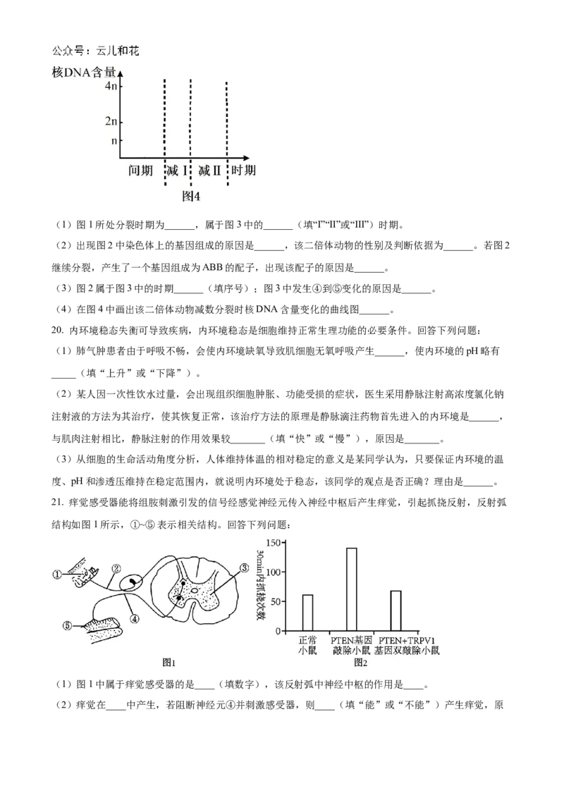 山西省大同市2024-2025学年高二上学期10月联考试题生物Word版含答案_2024-2025高二（7-7月题库）_2024年10月试卷_1026山西省大同市2024-2025学年高二上学期10月联考