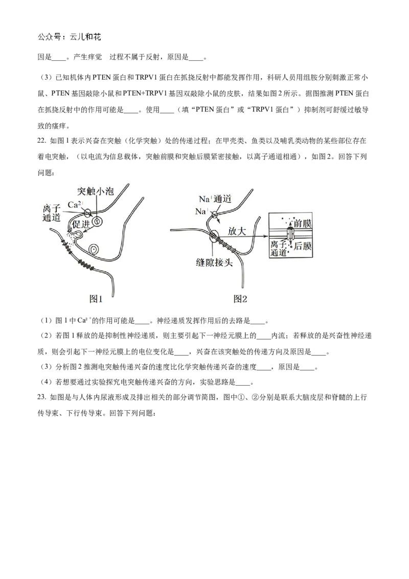 山西省大同市2024-2025学年高二上学期10月联考试题生物Word版含答案_2024-2025高二（7-7月题库）_2024年10月试卷_1026山西省大同市2024-2025学年高二上学期10月联考