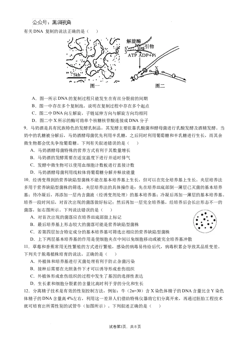 四川省成都市石室中学2024-2025学年高三上学期10月月考生物试题_2024-2025高三（6-6月题库）_2024年10月试卷_1014四川省成都市石室中学2024-2025学年高三上学期10月月考