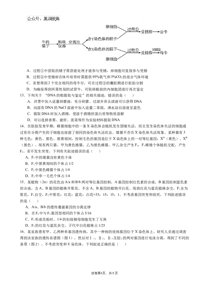 四川省成都市石室中学2024-2025学年高三上学期10月月考生物试题_2024-2025高三（6-6月题库）_2024年10月试卷_1014四川省成都市石室中学2024-2025学年高三上学期10月月考