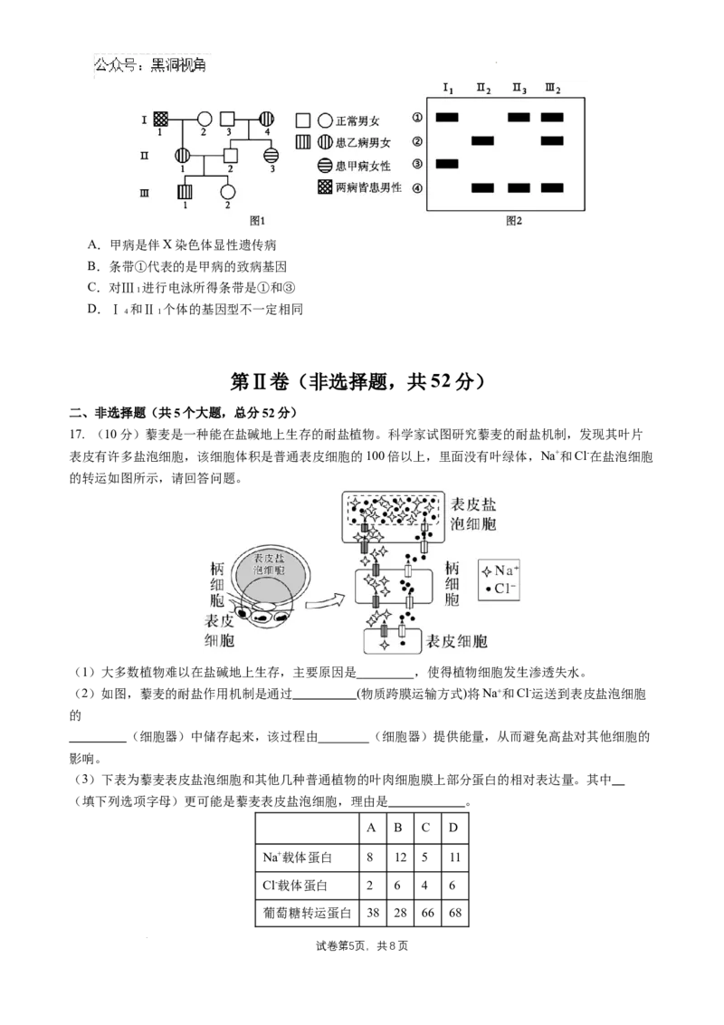 四川省成都市石室中学2024-2025学年高三上学期10月月考生物试题_2024-2025高三（6-6月题库）_2024年10月试卷_1014四川省成都市石室中学2024-2025学年高三上学期10月月考