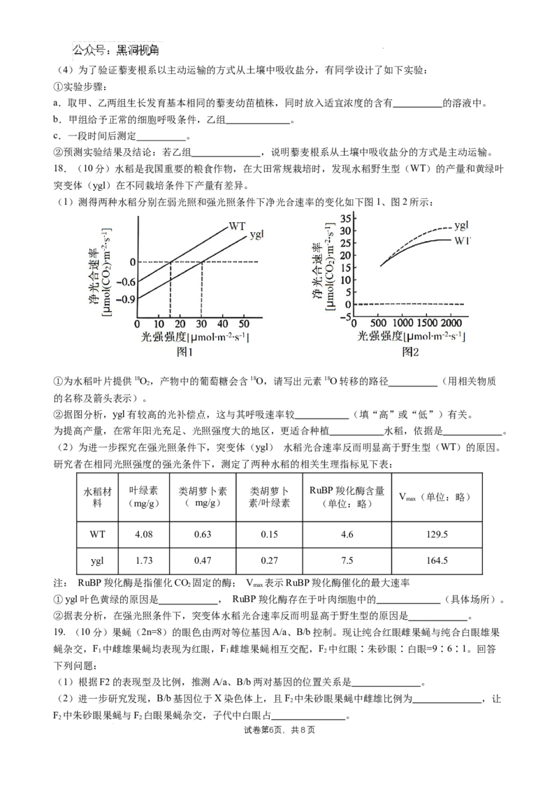 四川省成都市石室中学2024-2025学年高三上学期10月月考生物试题_2024-2025高三（6-6月题库）_2024年10月试卷_1014四川省成都市石室中学2024-2025学年高三上学期10月月考