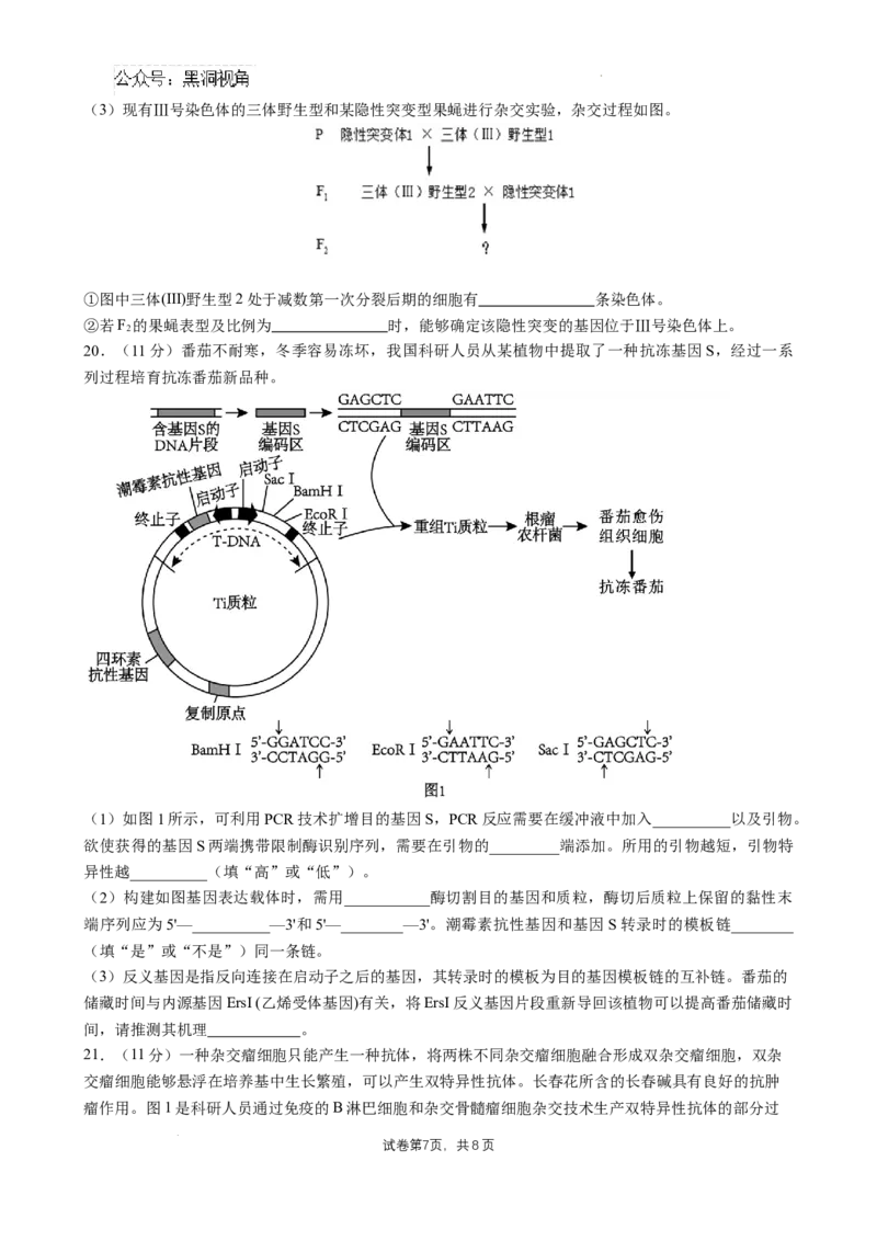 四川省成都市石室中学2024-2025学年高三上学期10月月考生物试题_2024-2025高三（6-6月题库）_2024年10月试卷_1014四川省成都市石室中学2024-2025学年高三上学期10月月考