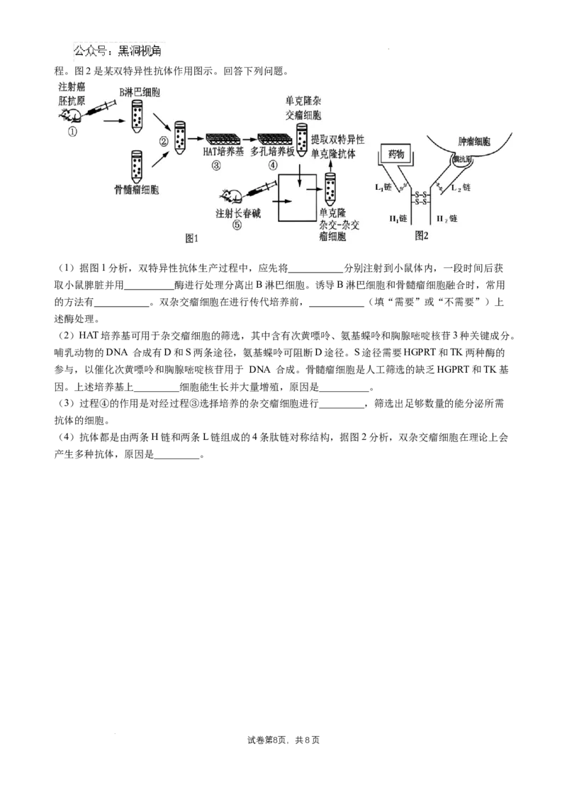 四川省成都市石室中学2024-2025学年高三上学期10月月考生物试题_2024-2025高三（6-6月题库）_2024年10月试卷_1014四川省成都市石室中学2024-2025学年高三上学期10月月考
