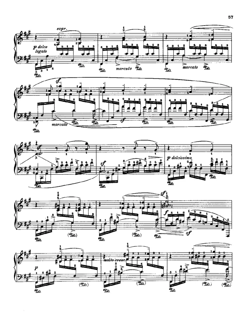 Godowsky-Chopin-53Etudes_一万首著名钢琴曲谱哈农贝多芬合集视频教学电子版高清无水印可打印_1古典钢琴知名音乐家谱_超高难度钢琴谱