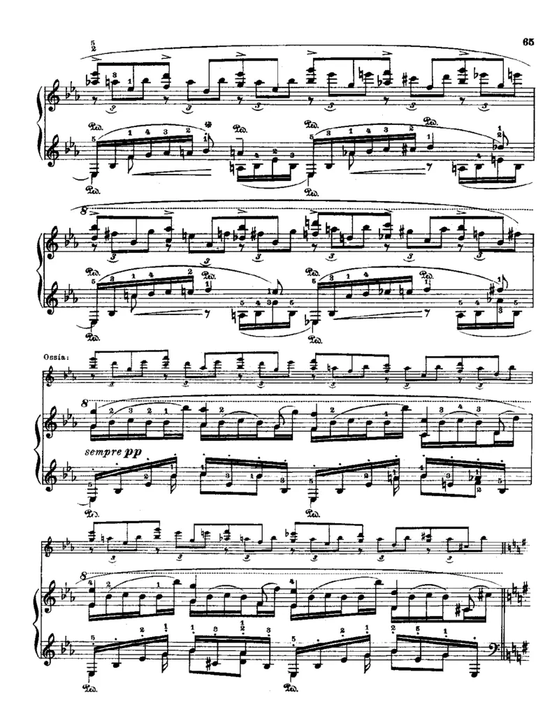 Godowsky-Chopin-53Etudes_一万首著名钢琴曲谱哈农贝多芬合集视频教学电子版高清无水印可打印_1古典钢琴知名音乐家谱_超高难度钢琴谱